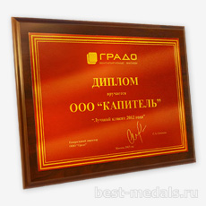Плакетка наградная